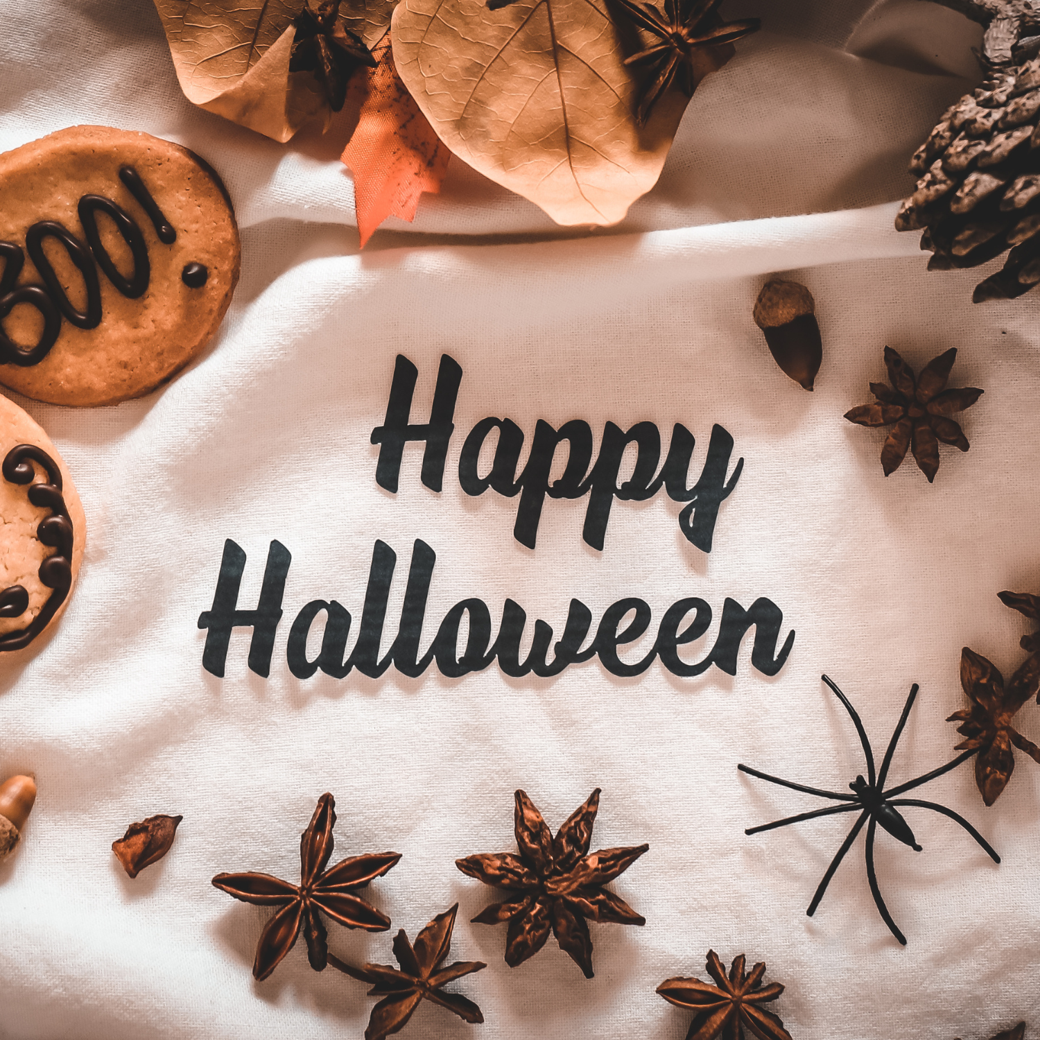 Halloween Mystery Bag